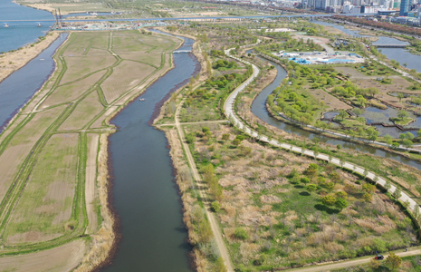 釜山洛东江庭园