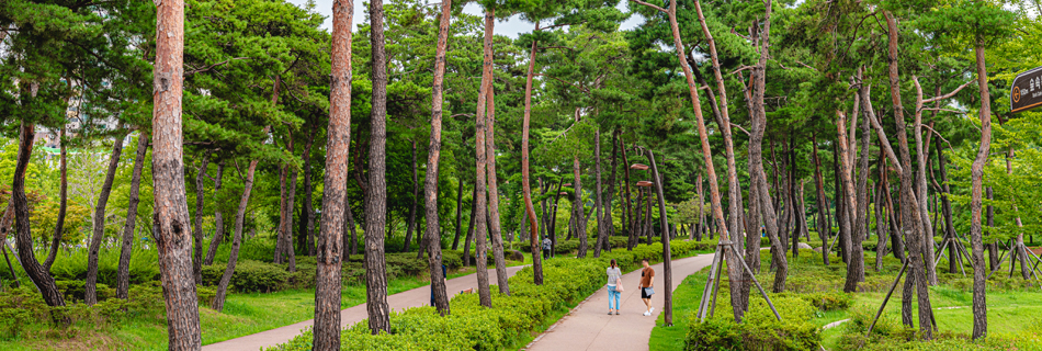 釜山市民公園