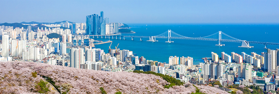 Busan Spring photo