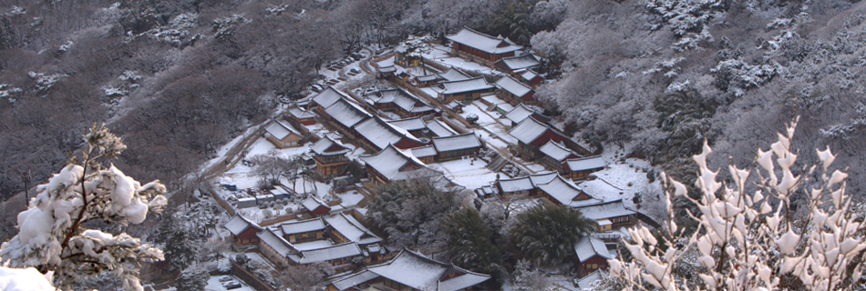 Busan winter photo
