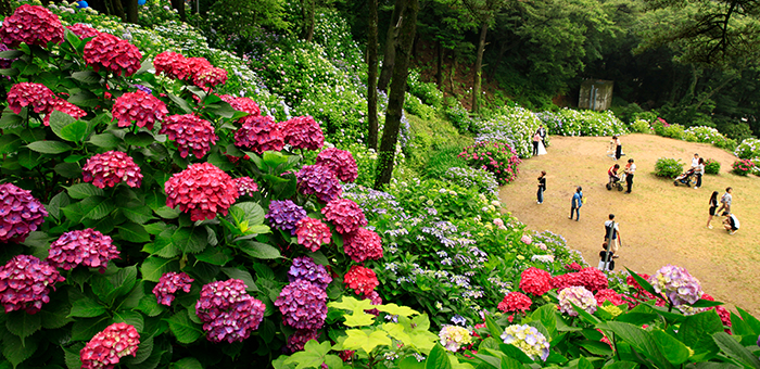 Taejongdae Recreation Area