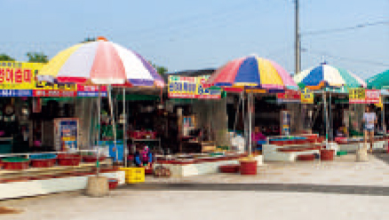 TABARA BUS STOP06