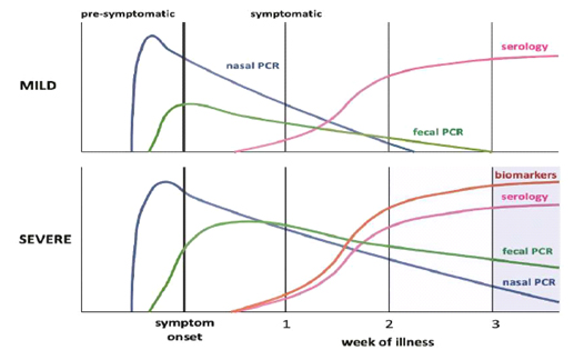 MILD : pre-symptomatic, nasal PCR, symptomatic, fecal PCR, serology  SEVERE : symptom onset week of illness