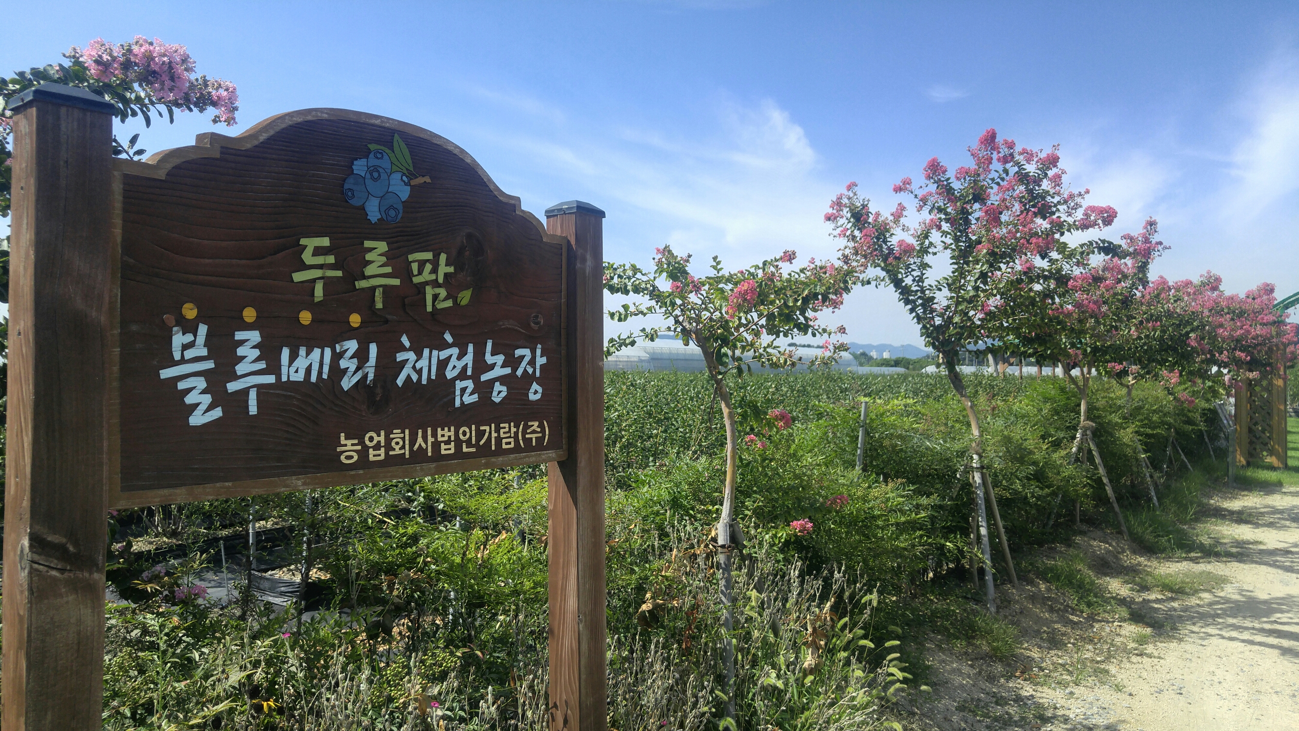두루팜