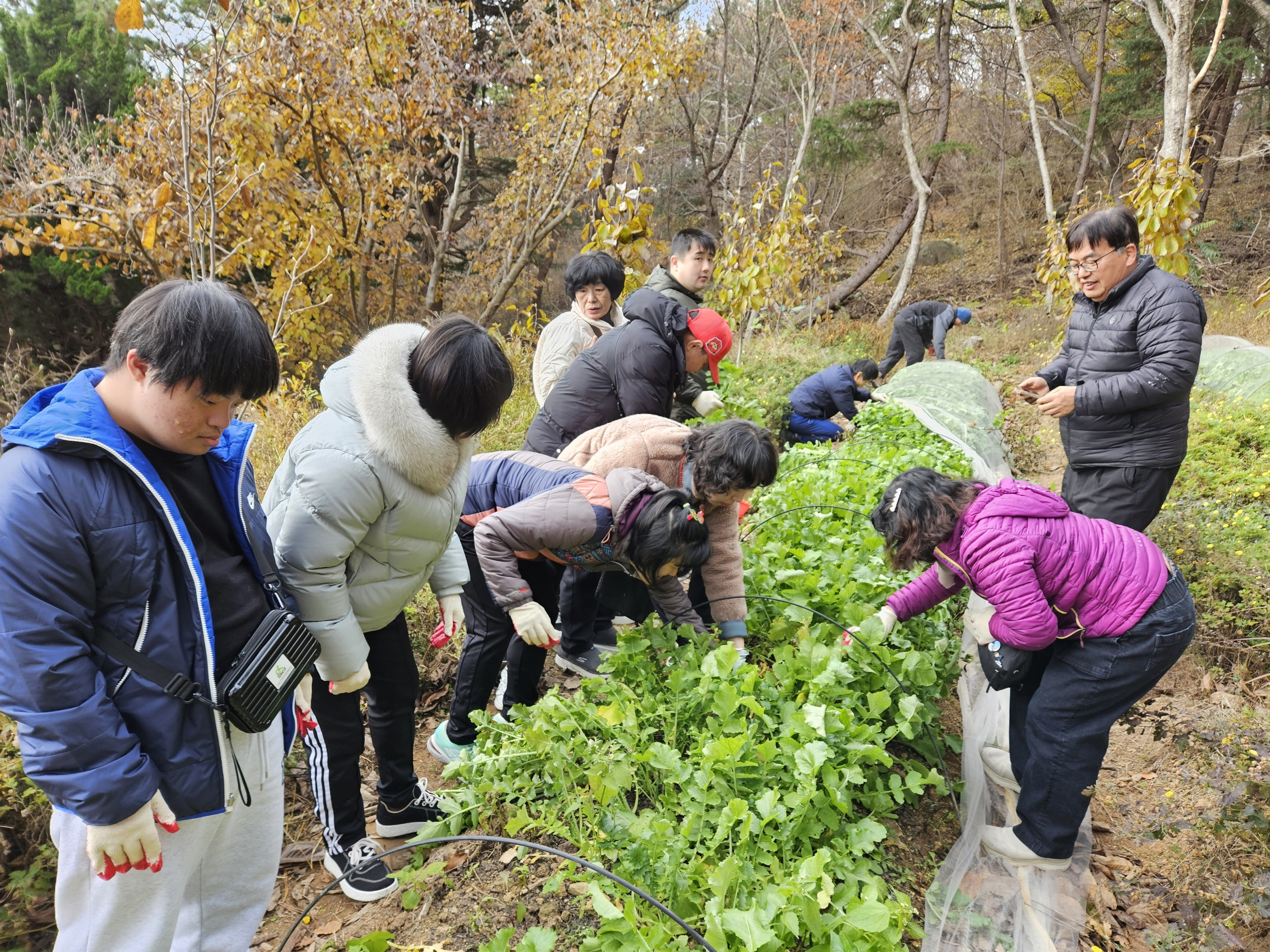 장산반디 치유농장