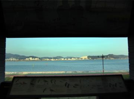 전망대에서 바라본 철새들의 모습  이미지