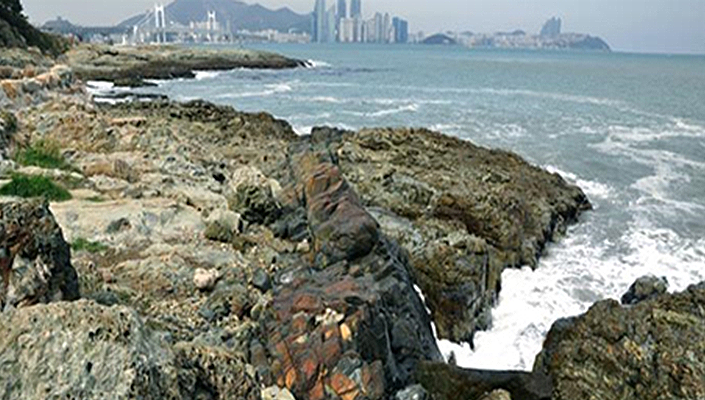 이기대공원 염기성 암맥 이미지