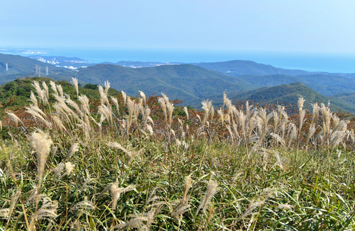 공원 대표 이미지