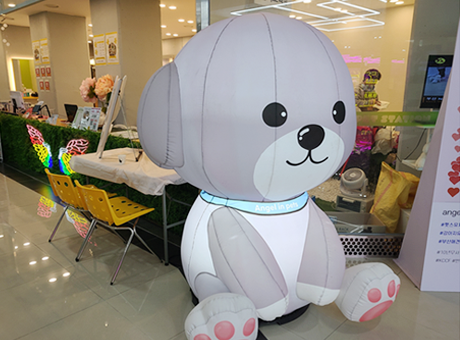 반려동물 특화거리 사진4