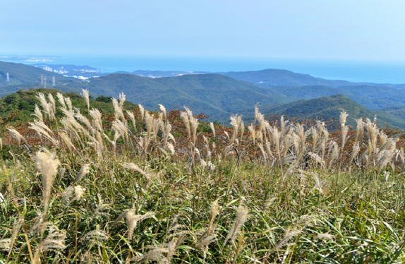 해운대장산구립공원 이미지
