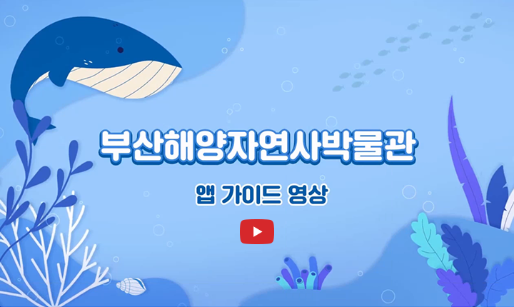 부산해양자연사박물관 앱 가이드 영상