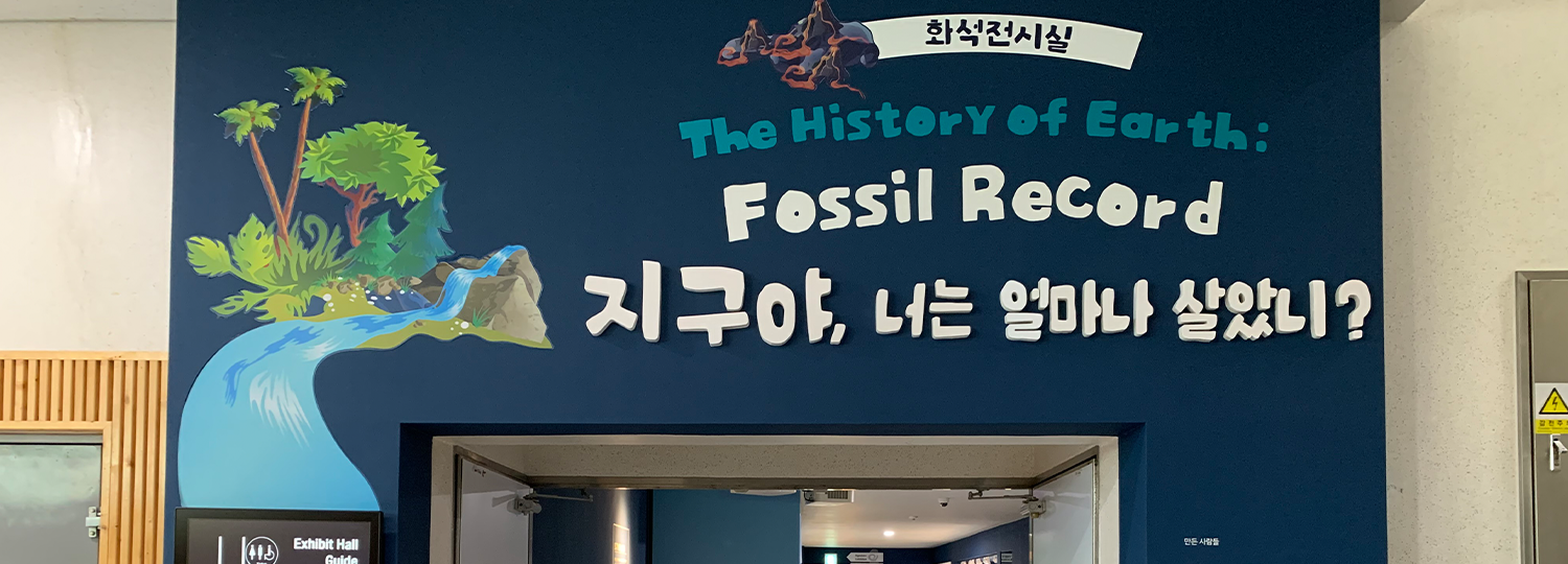 화석전시실 내부 이미지