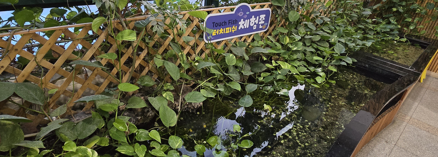 물고기체험 내부 이미지