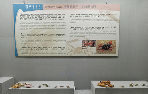갑각류 전시이미지