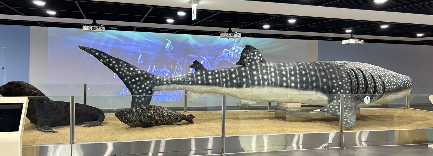 주제전시실 내부 이미지