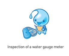 Inspection of a water gauge meter