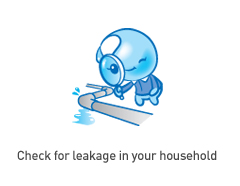 Check for leakage in your household