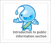 Introduction to public information section