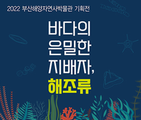 2022 부산해양자연사박물관 기획전
바다의
은밀한
지배자,
해조류