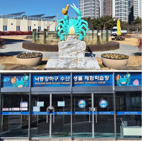 [1월 미션취재3] 신기한 바다생물들을 만나는 수산생물 체험학습장 대표이미지