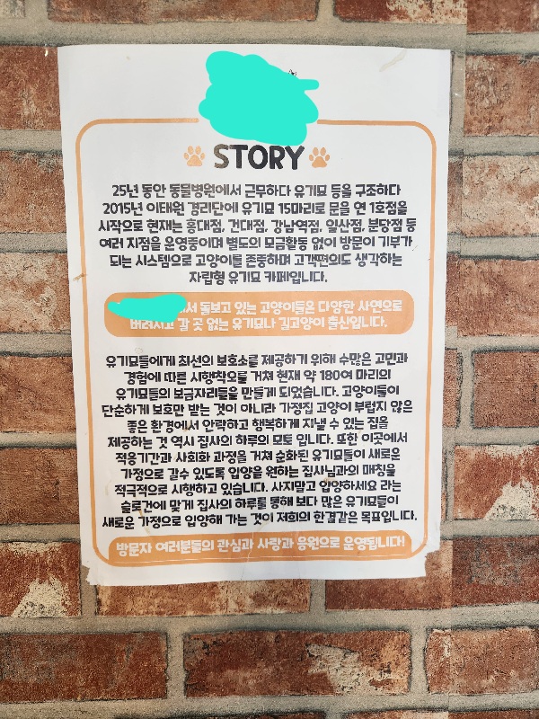 길냥이들의 천국 대표이미지