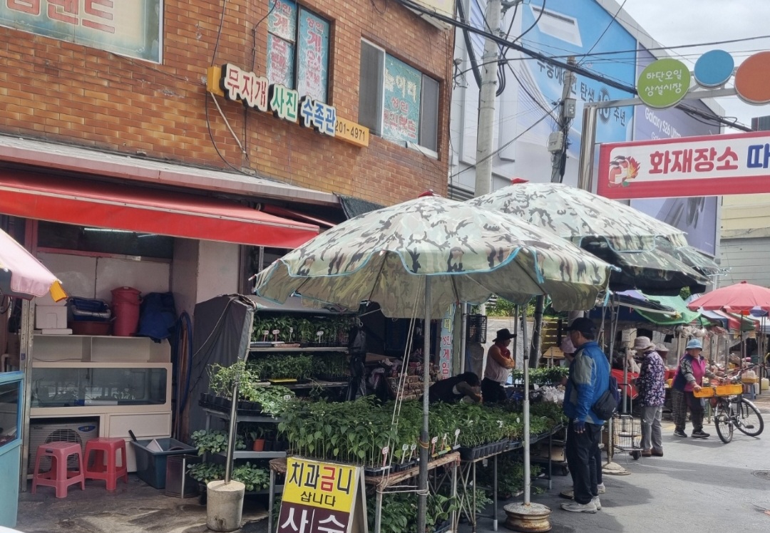 하단오일장 시장 체험 대표이미지