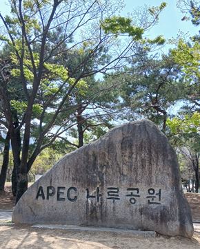 나들이 핫플, 나루공원 대표이미지