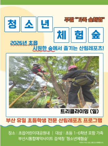 어린이대공원 숲속 트리클라이밍 체험 대표이미지