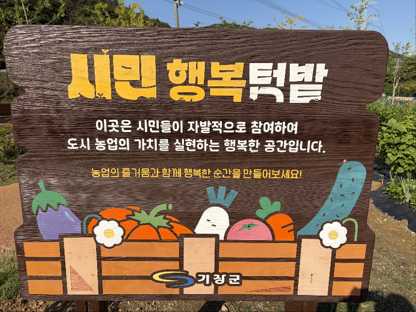 내 손으로 키운 작물, 철마도시농업공원에서 수확했어요 대표이미지