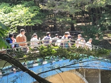 [청소년체험숲] 숲 엔 나눔 이미지