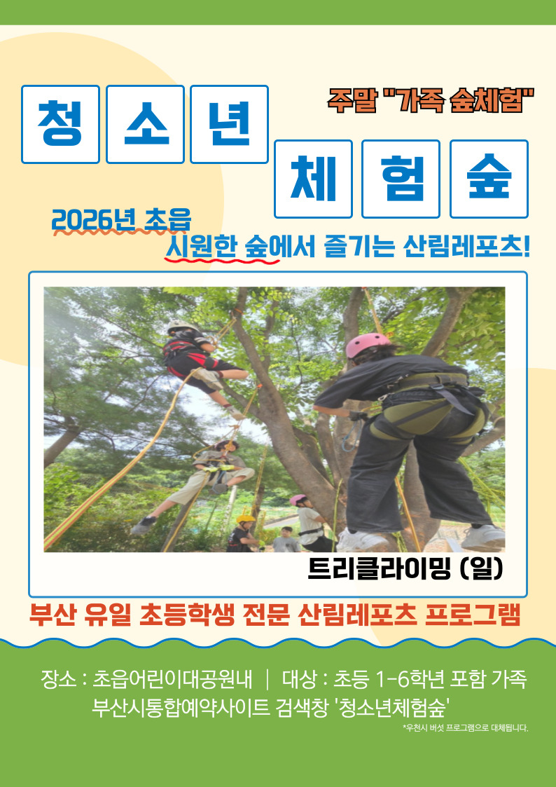 [청소년체험숲]  트리클라이밍 이미지