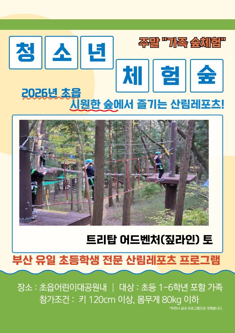 [청소년체험숲] 트리탑 어드벤처(짚라인) 이미지