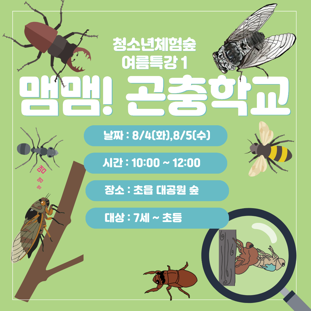 [청소년체험숲] 여름특강 1 -  맴맴! 여름곤충학교 이미지