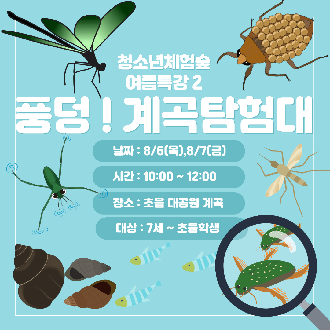 [청소년체험숲] 여름특강2 - 풍덩! 계곡탐험대 이미지