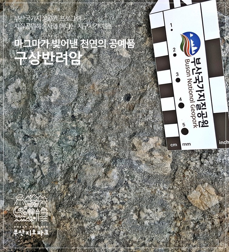 [구상반려암] 지질공원해설사와 떠나는 지구시간여행! 이미지