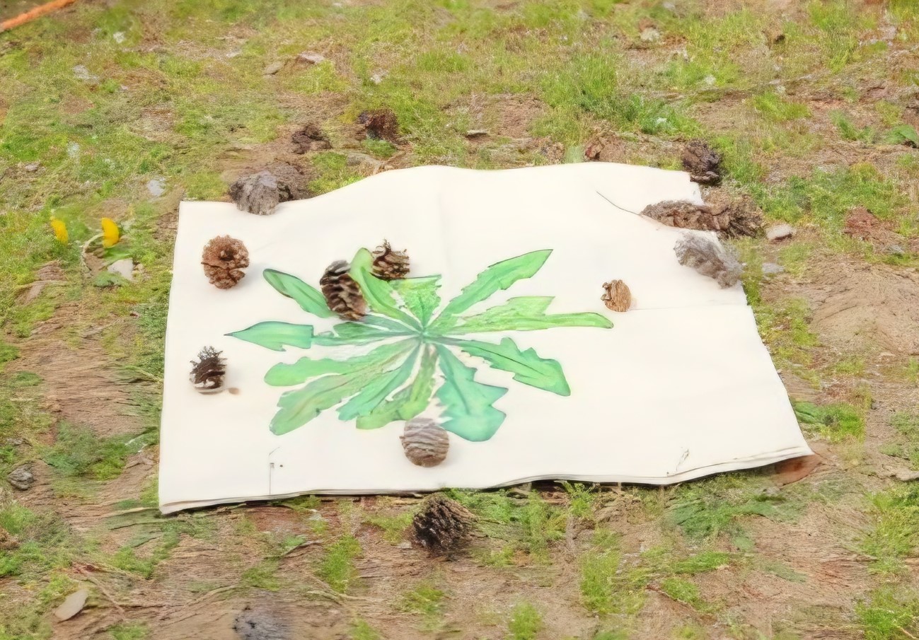 [해운대수목원] 숲에서  채우GO 이미지