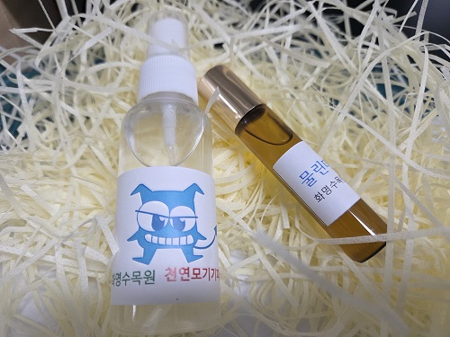 【화명수목원】-주말 테마가 있는 자연물 만들기 이미지