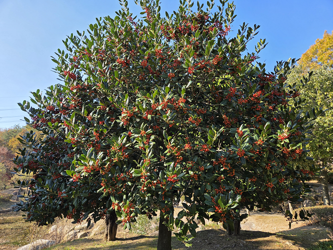 【화명수목원】-주말- 테마가 있는 숲 이야기(유아가족) 이미지