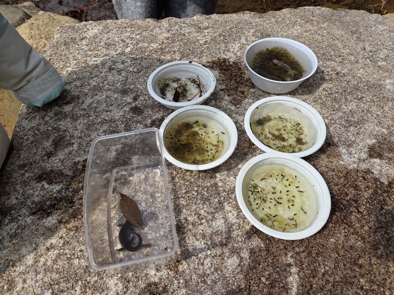 【화명수목원】-숲아카데미 이미지