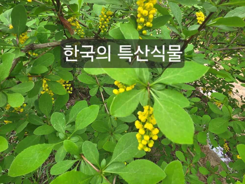 【화명수목원】-숲아카데미 이미지