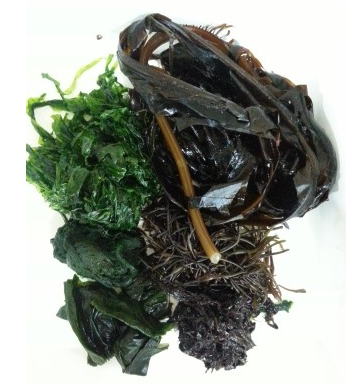 2026년 3월 [토요체험교육] 해양환경체험교실 이미지