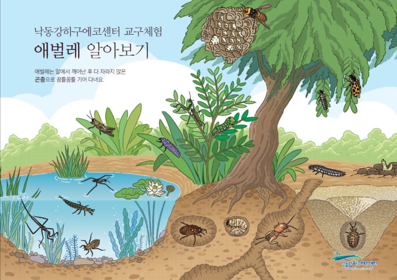 (7/6) 하나의 '서로 돕는 곤충'(6~7세 대상) 이미지