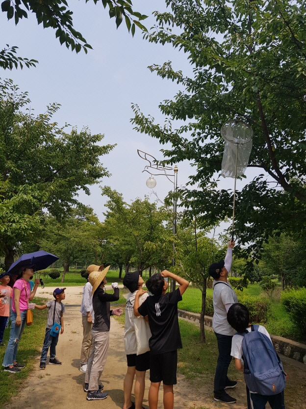(8/9) 여름을 알리는 매미 이미지