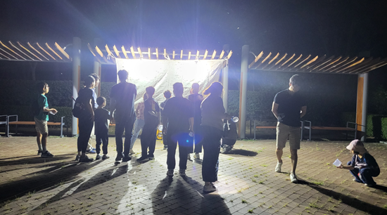 (08/13) 한여름밤의 곤충 이미지