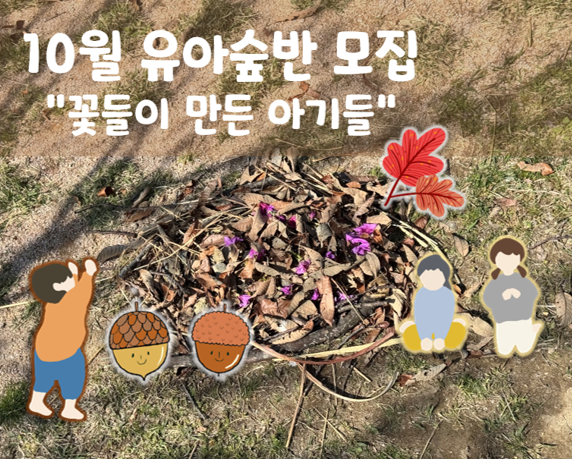 10월 유아숲체험 이미지