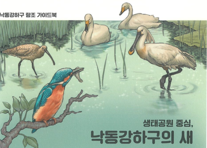 (11/8~9) 겨울철새맞이행사-새박사와 함께하는 낙동강하구 탐조 이미지