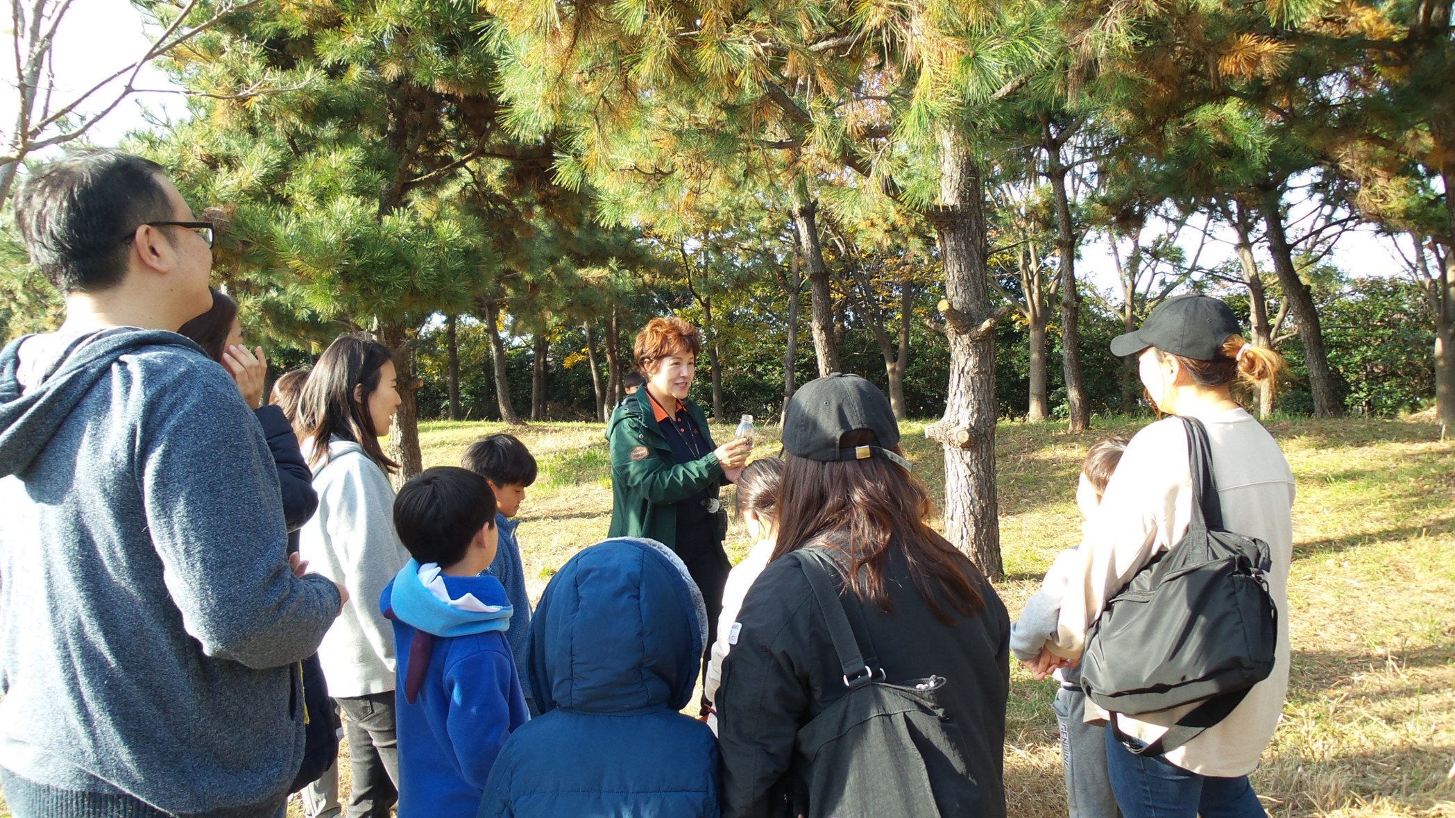 (11/23) 겨울을 이겨내는 나무들의 지혜 이미지