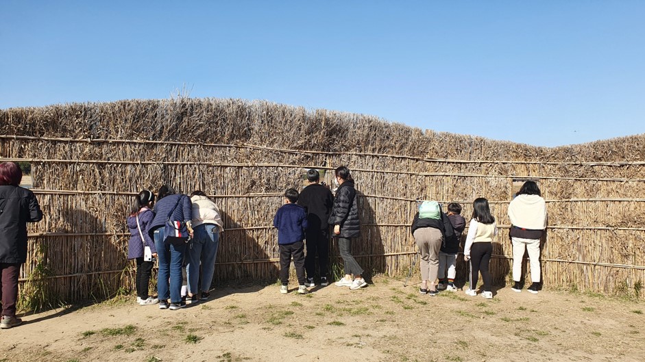 (1/10) 놀다가 새 쉬다가 새 이미지