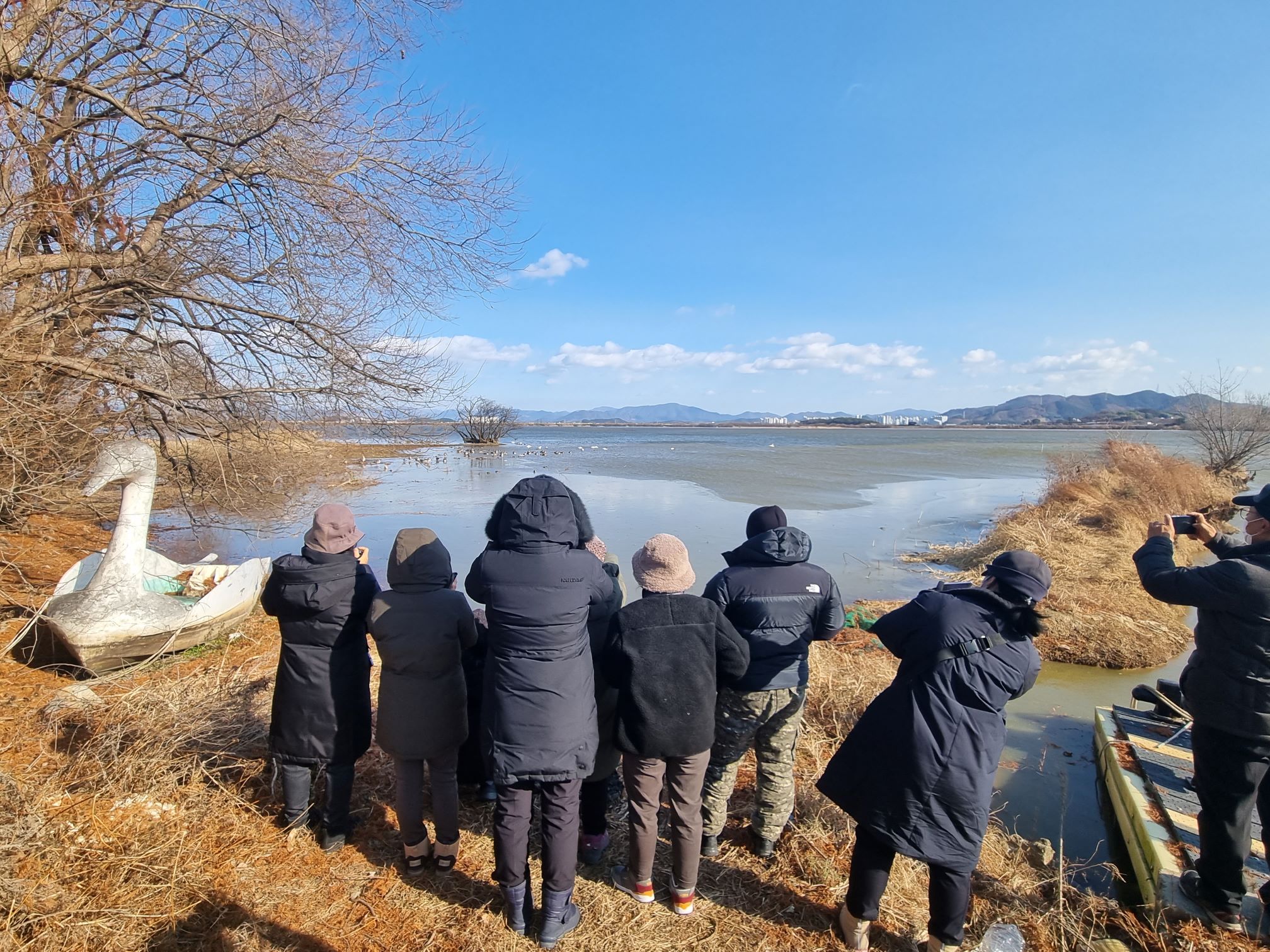 (1/15) 새박사와 함께 주남저수지 겨울철새 탐조여행 이미지