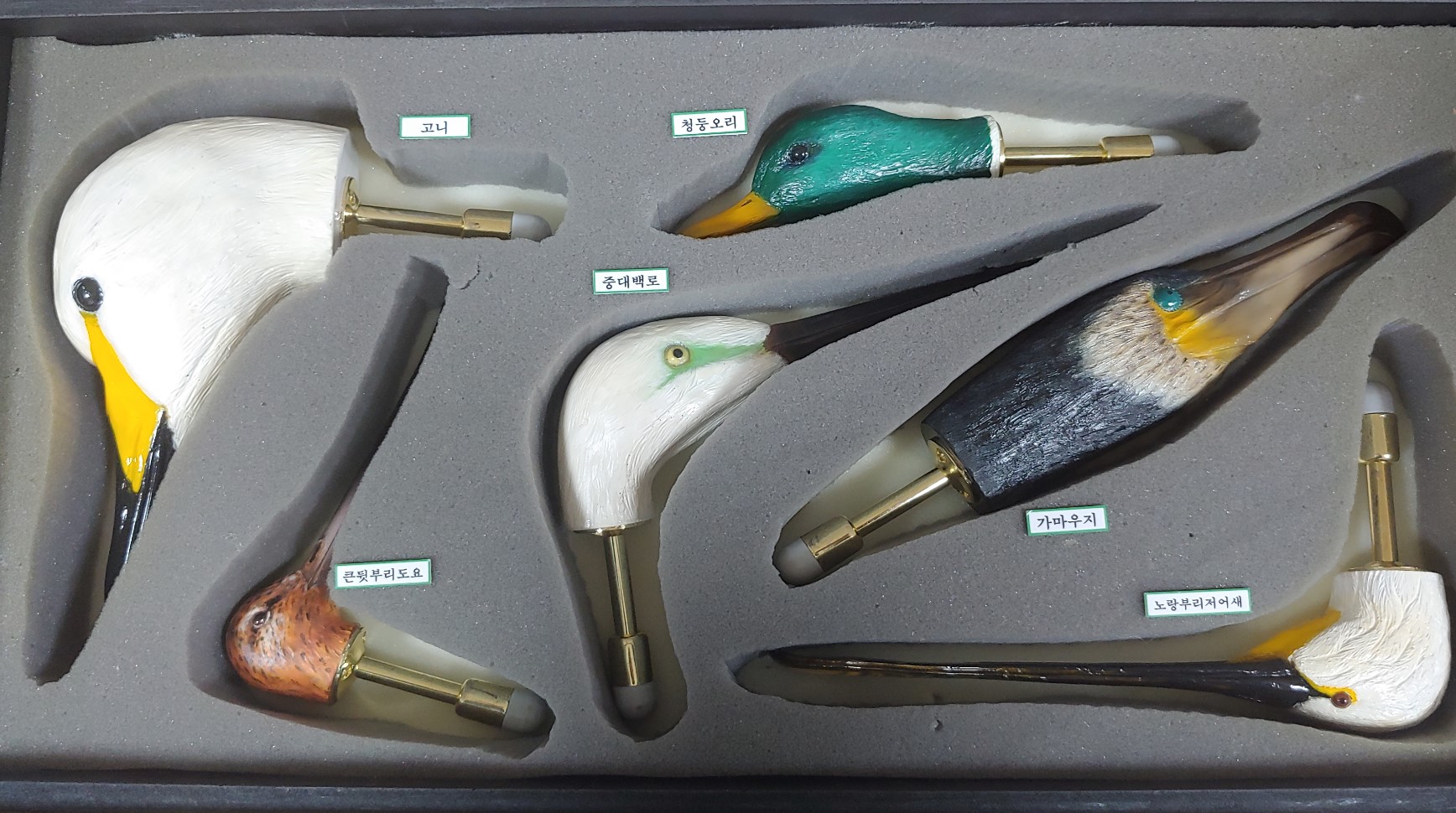 (3/7) 새(bird) 얼굴 탐험대 이미지